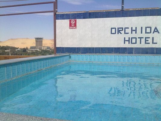تقرير عن فندق اوركيدا في اسوان مصر