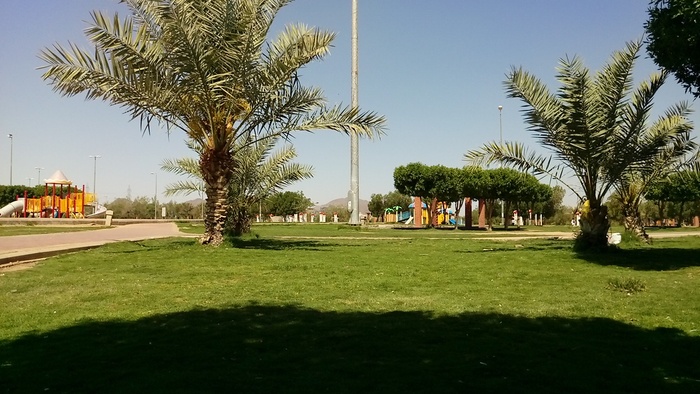 حديقة الملك فهد المركزية