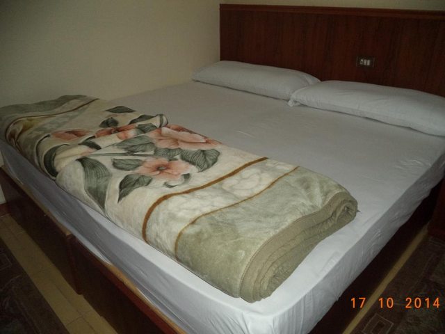 تقرير عن فندق مغربي الاسكندرية