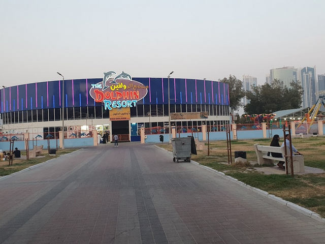 أفضل 6 أنشطة في منتجع الدولفين البحرين