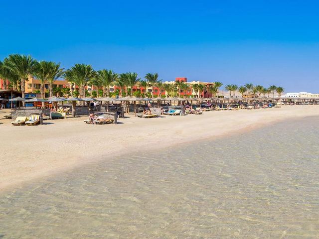 تقرير عن فندق رويال توليب مرسى علم