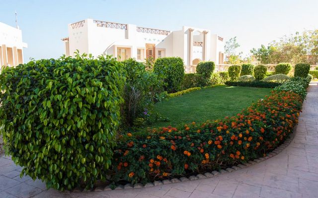 تقرير عن فندق شاركس باي اواسيس