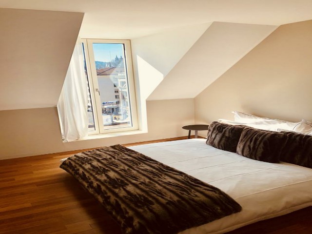 هناك عدة شقق فندقية في لوزيرن انيقة وبسيطة