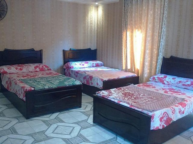 تقرير عن فندق القاضي الاسكندرية