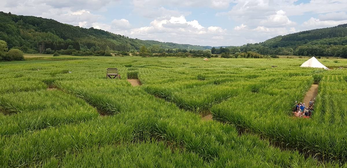 متاهة بارفو سور أورت