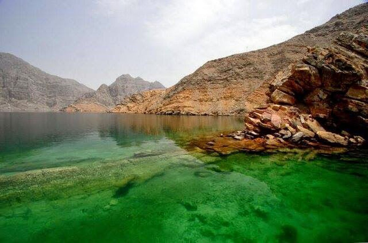 A picture of Dolphin Khasab Tours