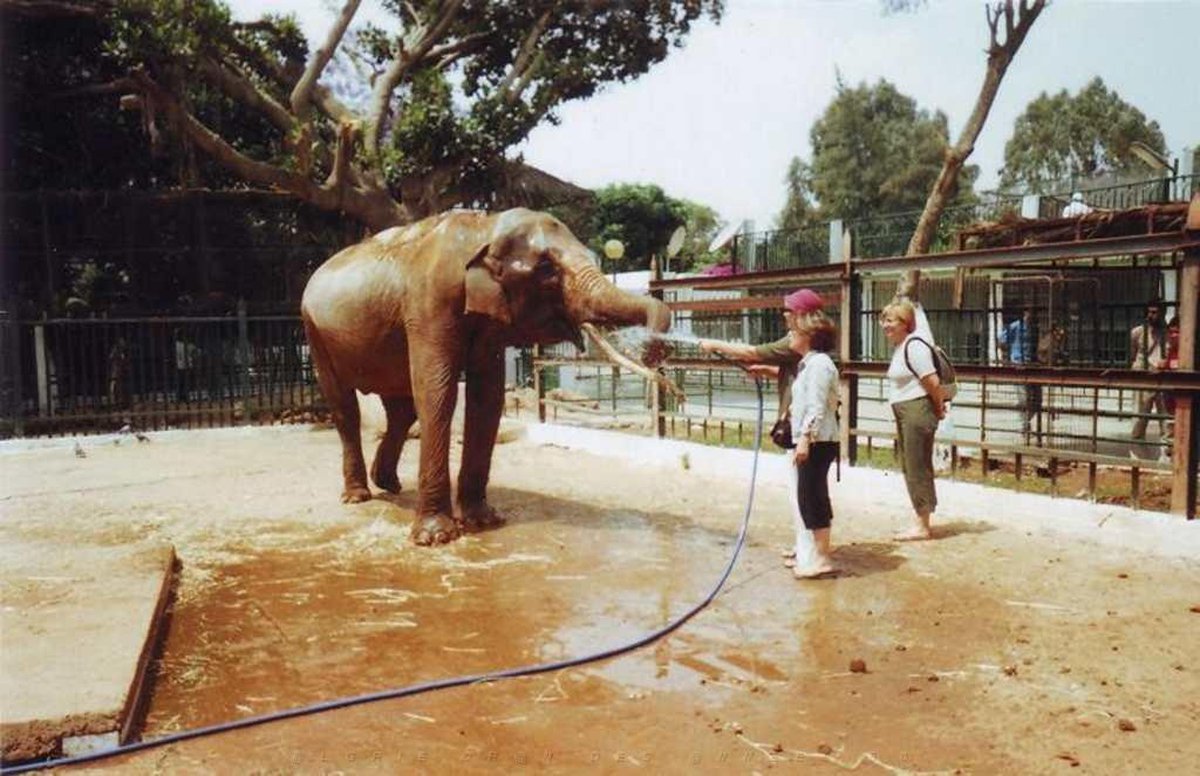 A picture of Oran Zoo