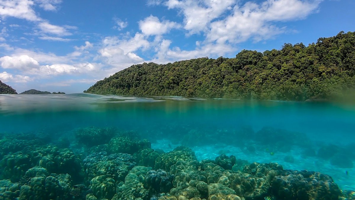 Ko Surin Tai A picture of Ko Surin Tai