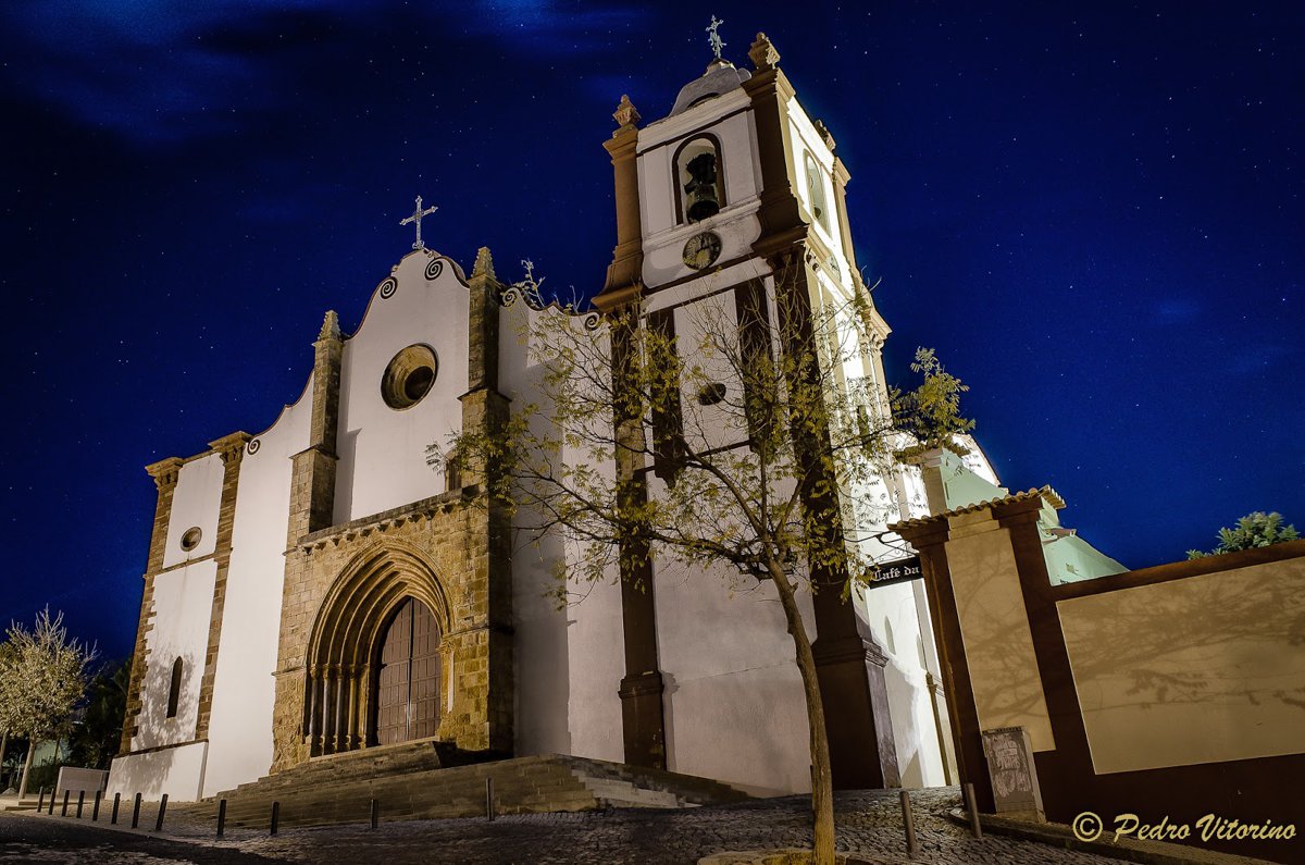 كاتدرائية سيلفيس