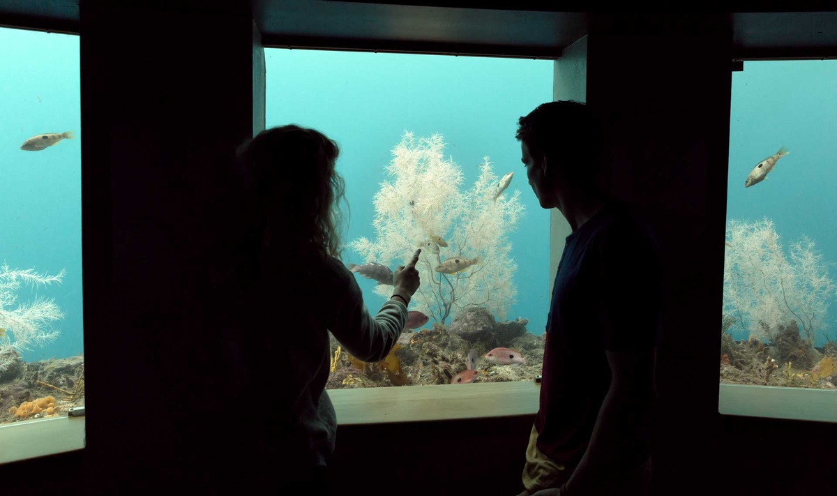 متحف ومركز ميلفورد للاستكشاف ومرصد تحت الماء