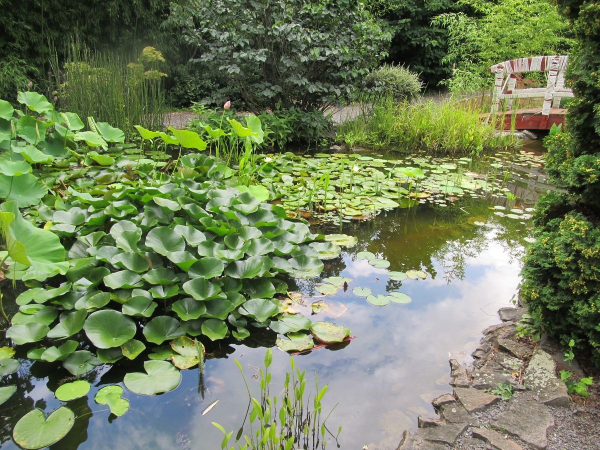 حديقة توزون يانوس النباتية