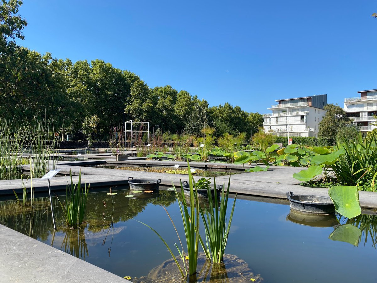 A picture of Bordeaux Botanical Garden