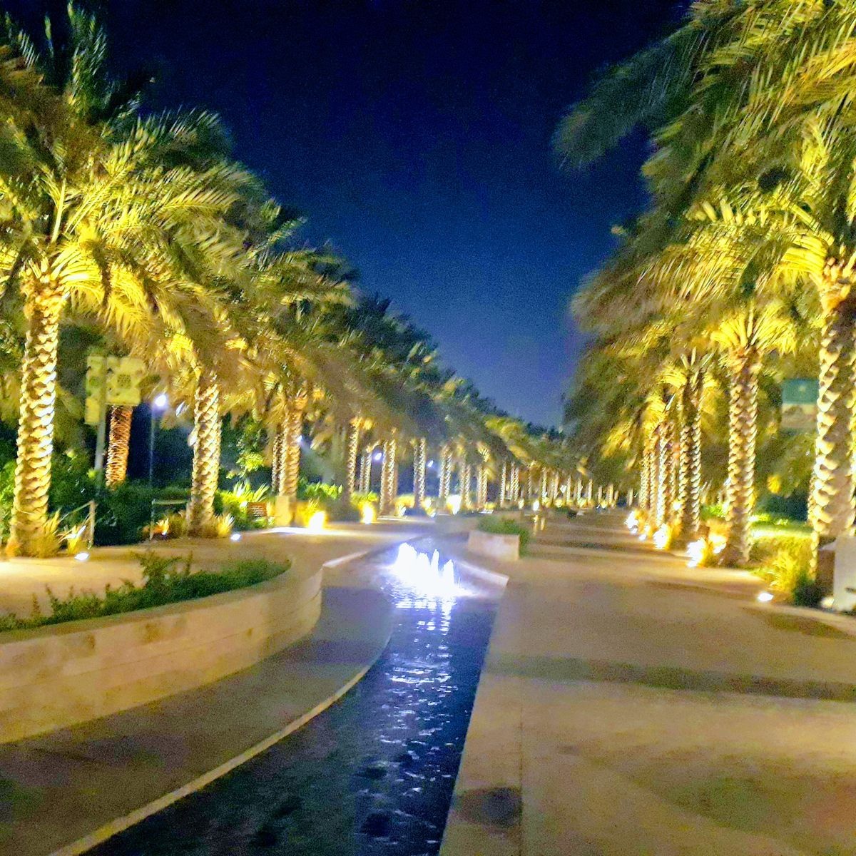 A picture of Mushrif Central Park/Umm Al Emarat Park