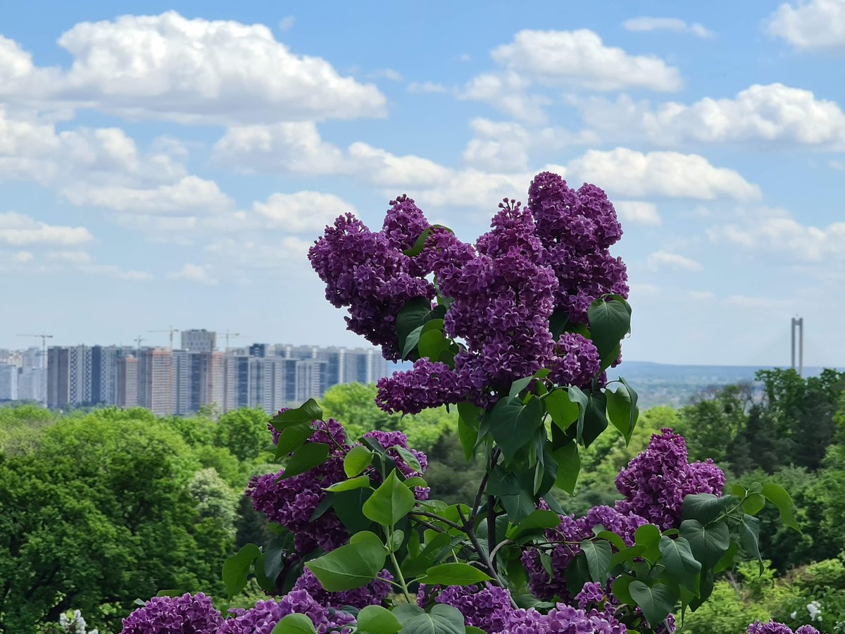 اروع و افضل  11 حديقة نباتية في أوكرانيا