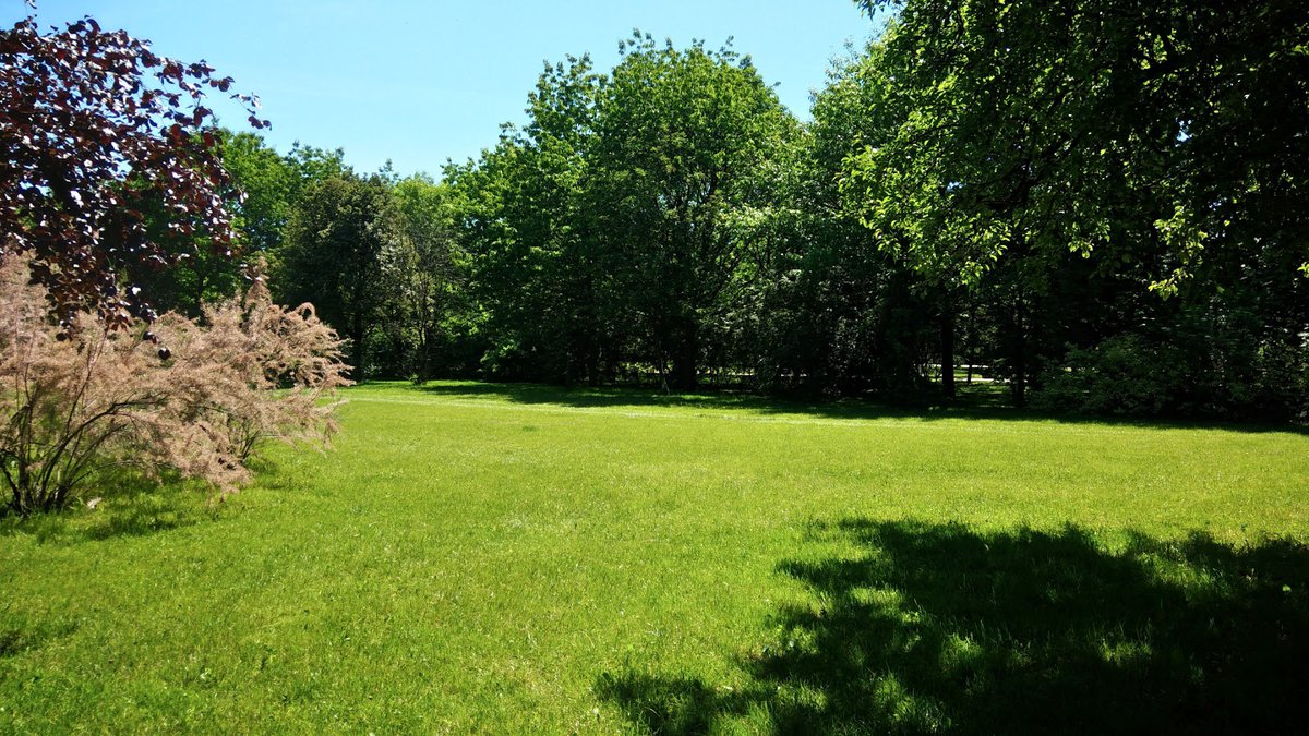 A picture of Bródnowski Park