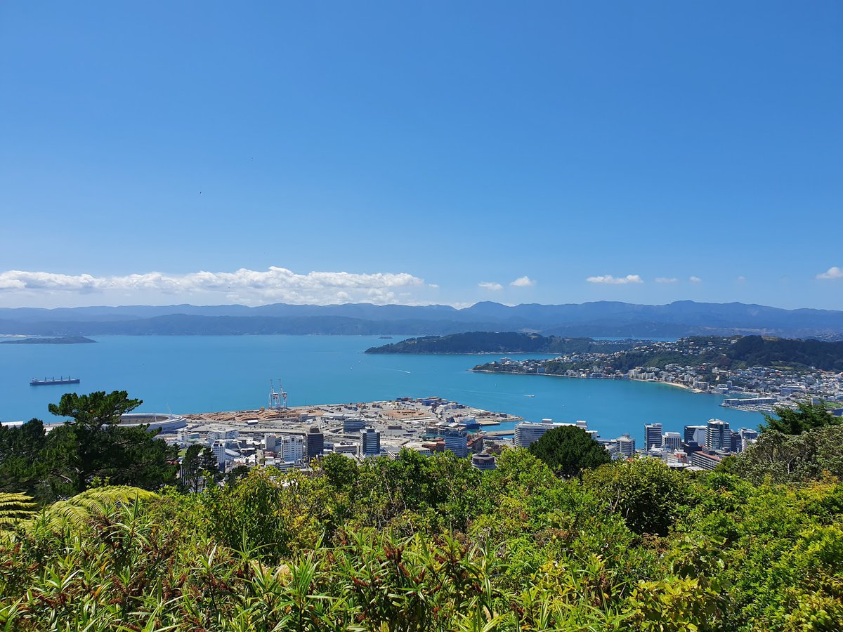 A picture of Te Ahumairangi Hill Lookout