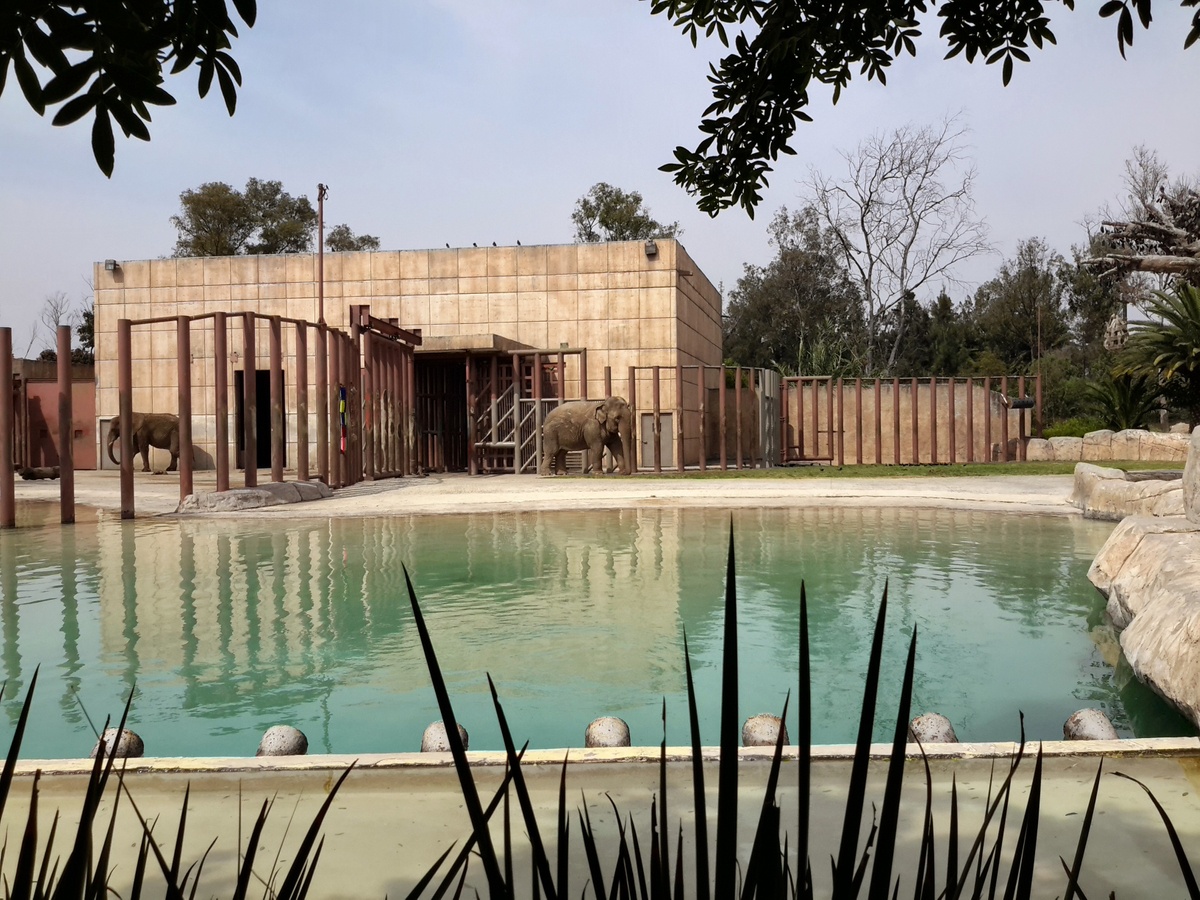 حديقة حيوان سان خوان دي أراجون