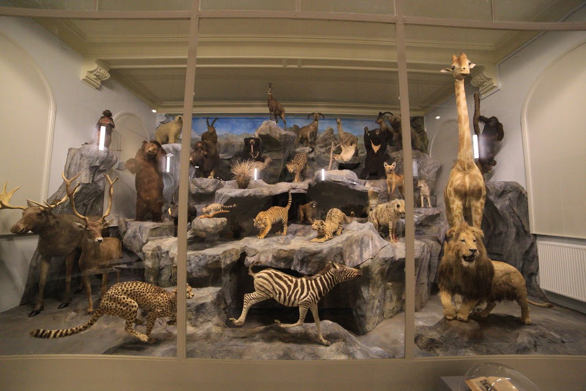 متحف ليل للتاريخ الطبيعي