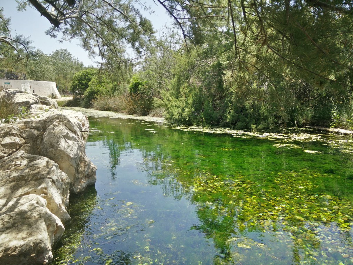 حديقة فونتس الترفيهية