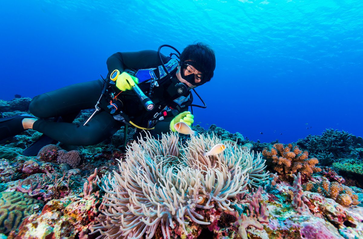 A picture of Yonaguni Diving Service