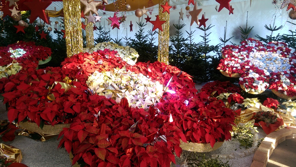 حدائق الزهور هيرشستيتن