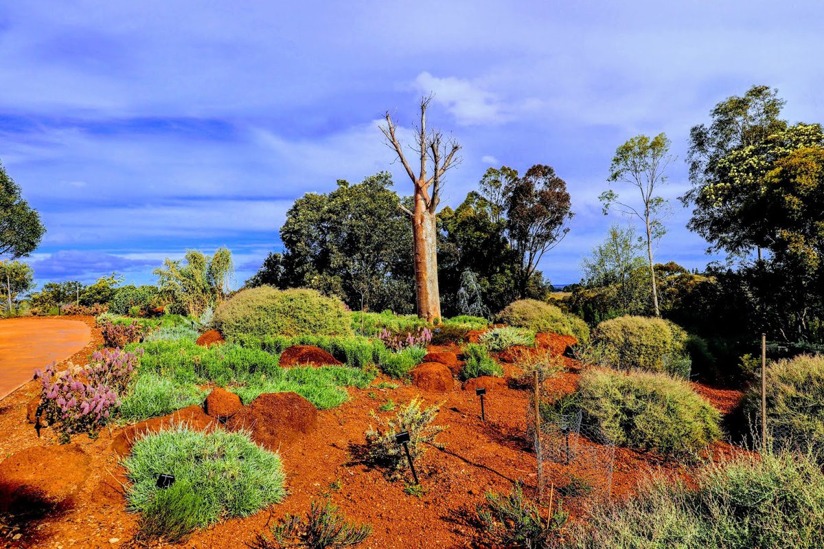 8 من أفضل حدائق نباتية في استراليا لتستمتع بزيارتها