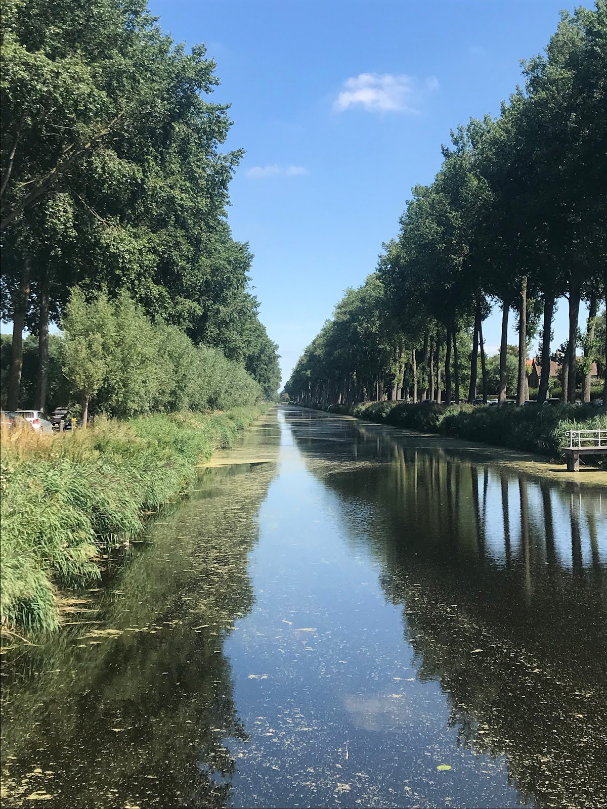 A picture of Damme Canal
