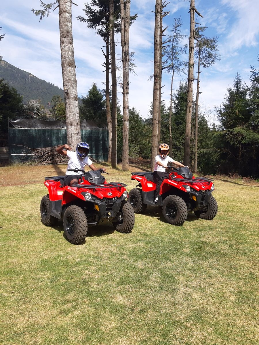 آ تي فـي فوريستال