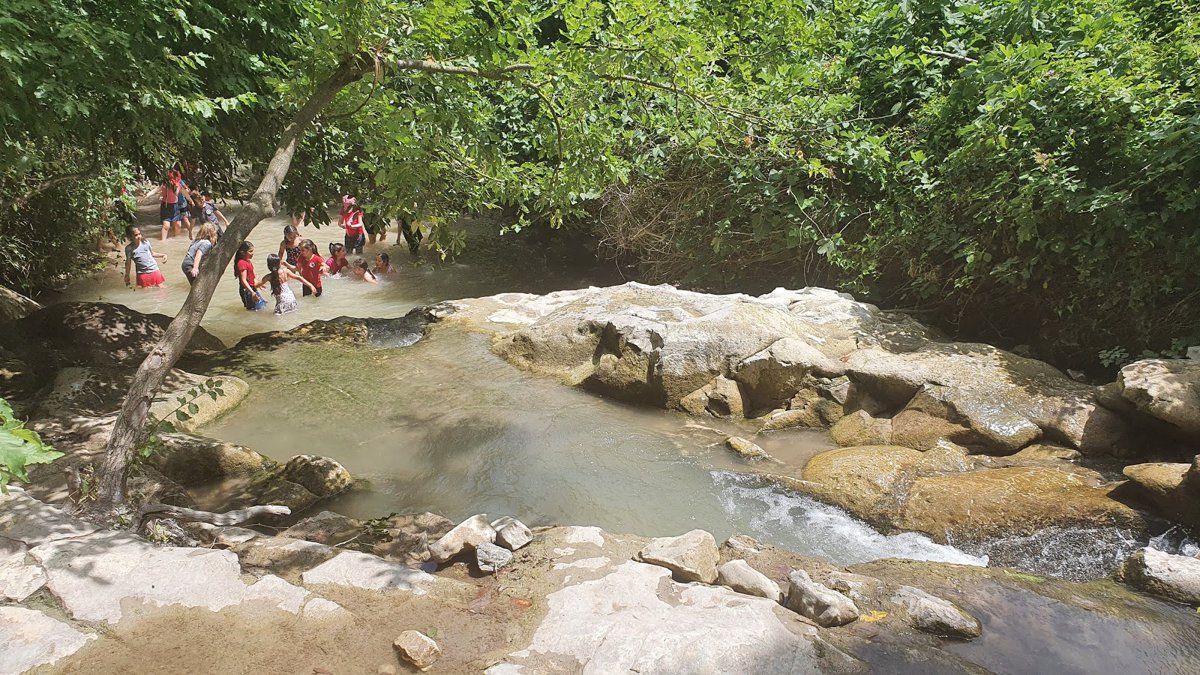 A picture of Carob parking lot Nahal Hashofet