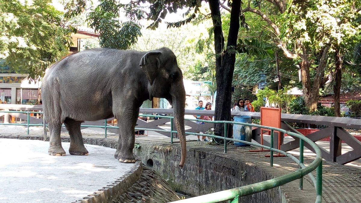 حديقة حيوانات مانيلا