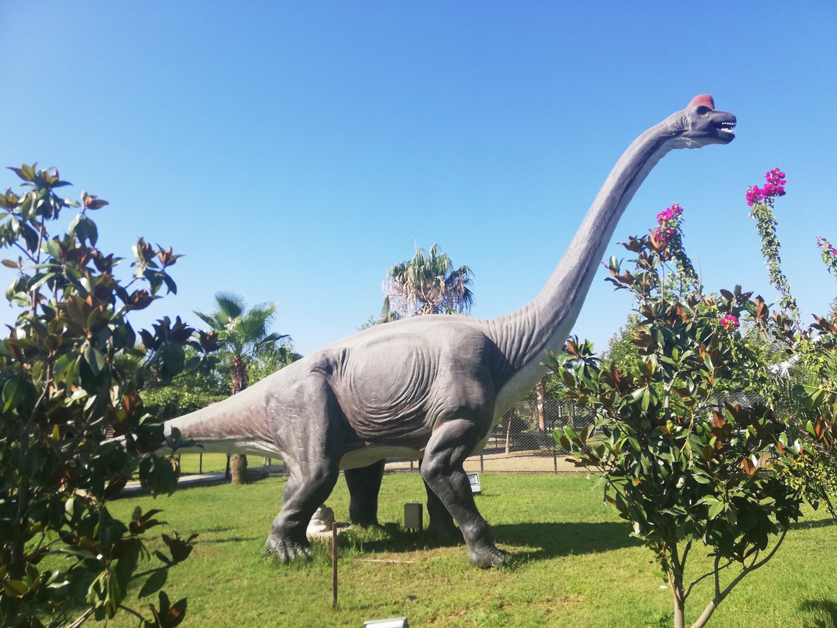 A picture of Discovery Dinosaur Park