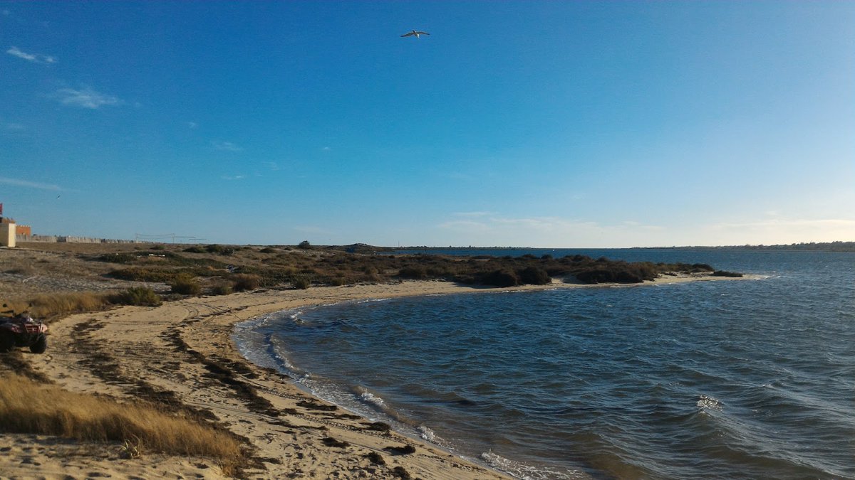 جزيرة أرمونا