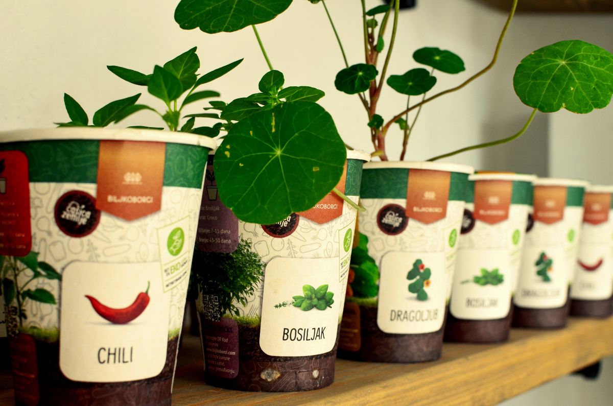 متجر ايون للهدايا التذكارية