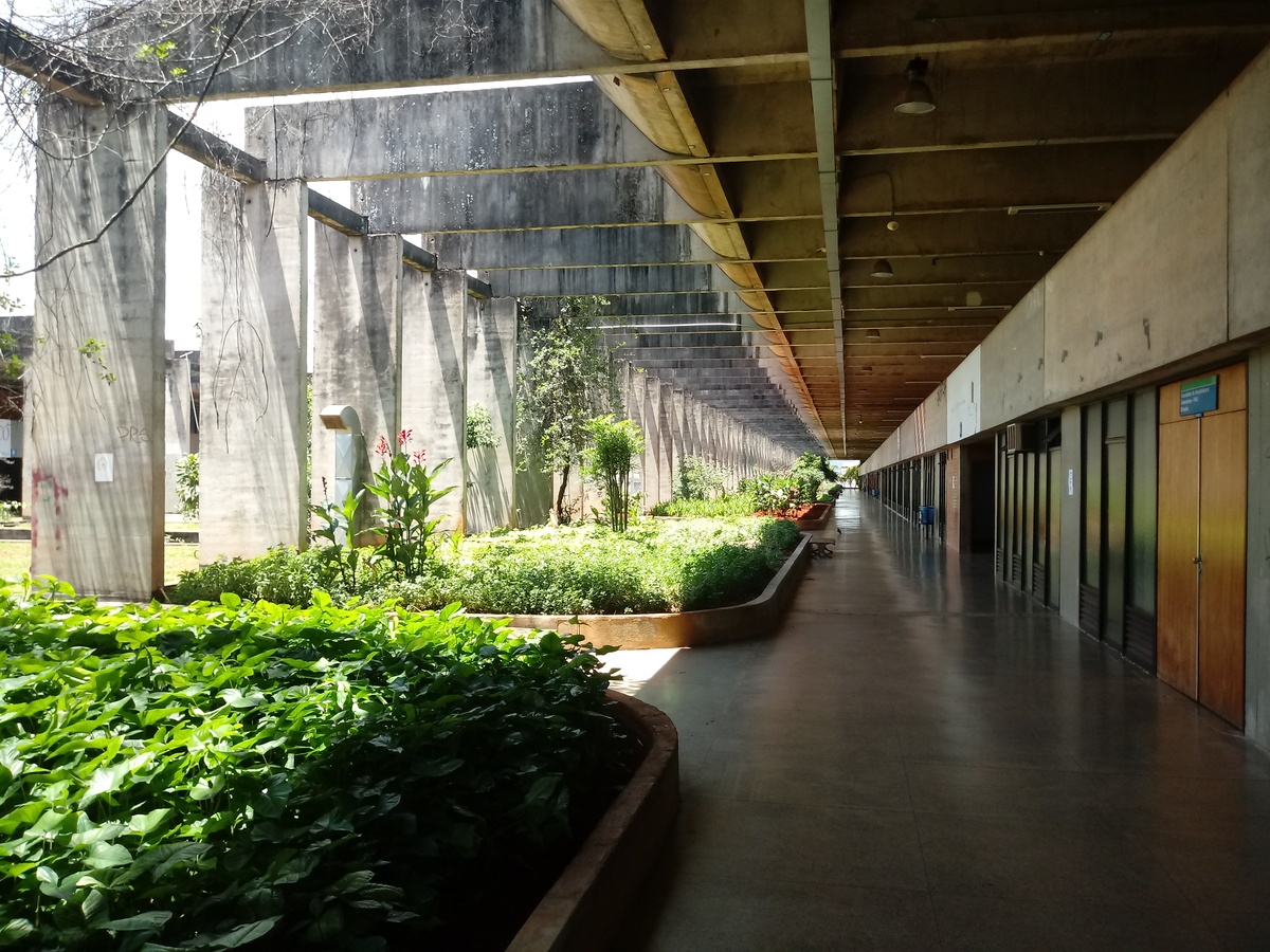 A picture of Brasilia University Herbarium