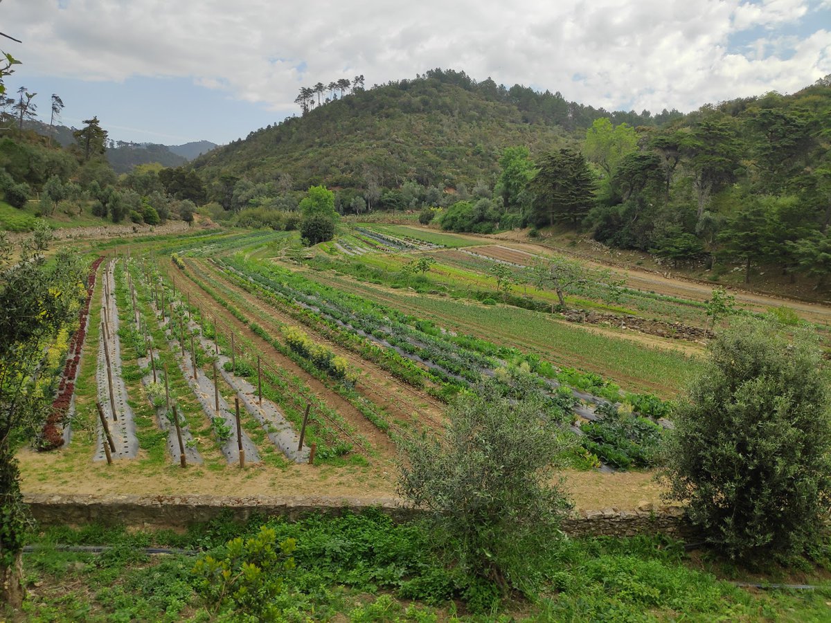 كينتا دو بيساو