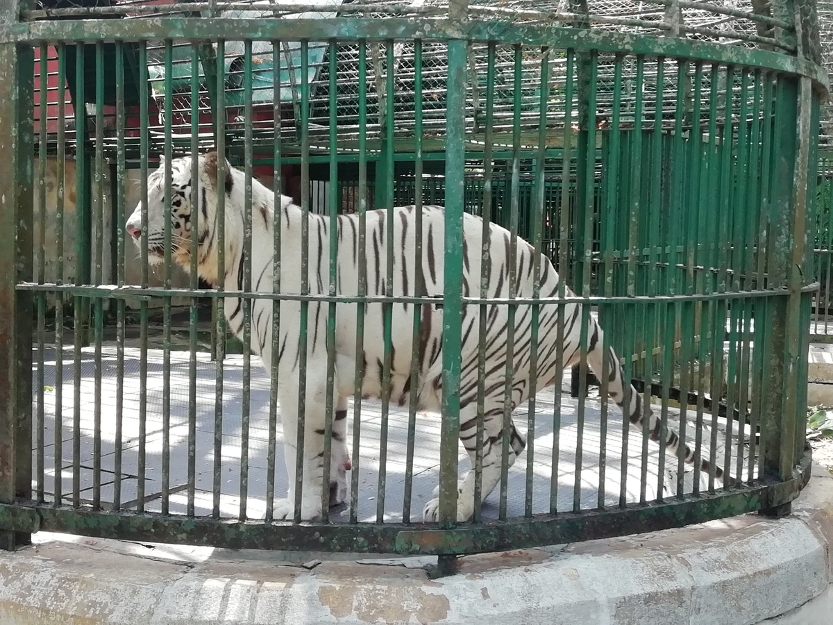 اروع و افضل  5 حدائق حيوان في ولاية كيرلا