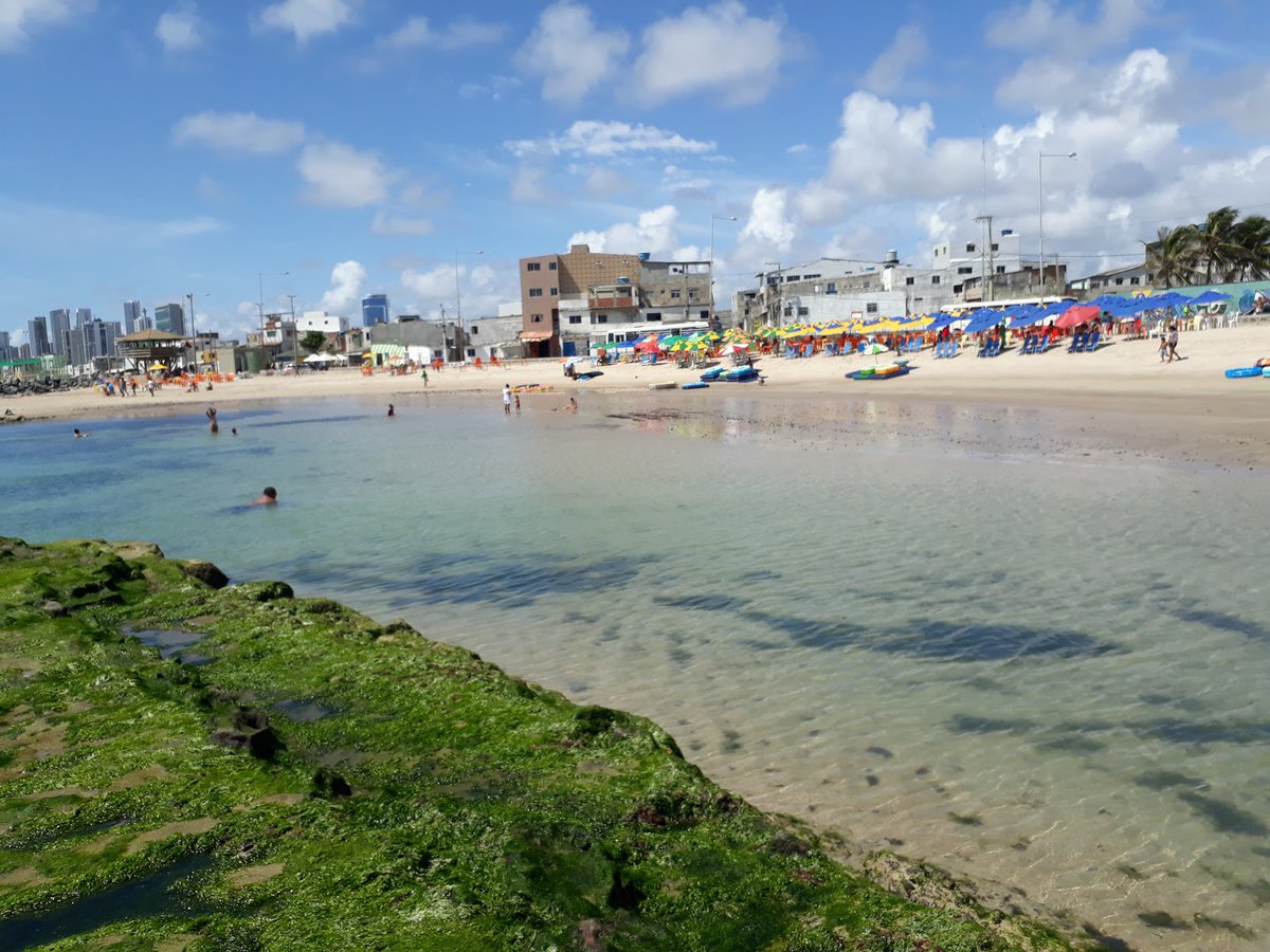 برازيليا تيموزا