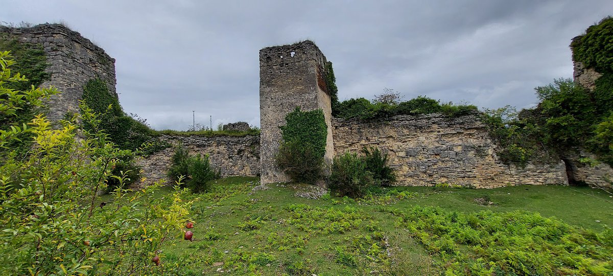 A picture of Chakvinji Castle