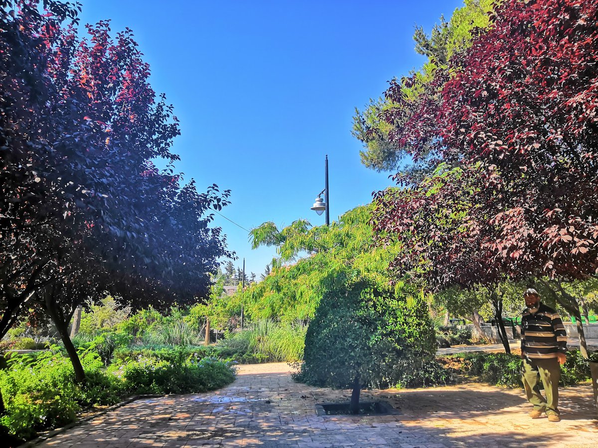 A picture of Zahran Park
