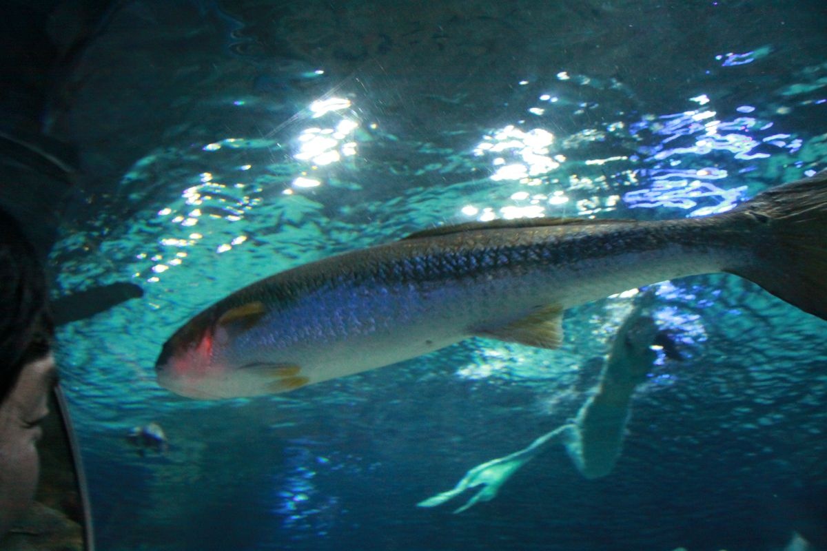 A picture of Blue Zoo Beijing