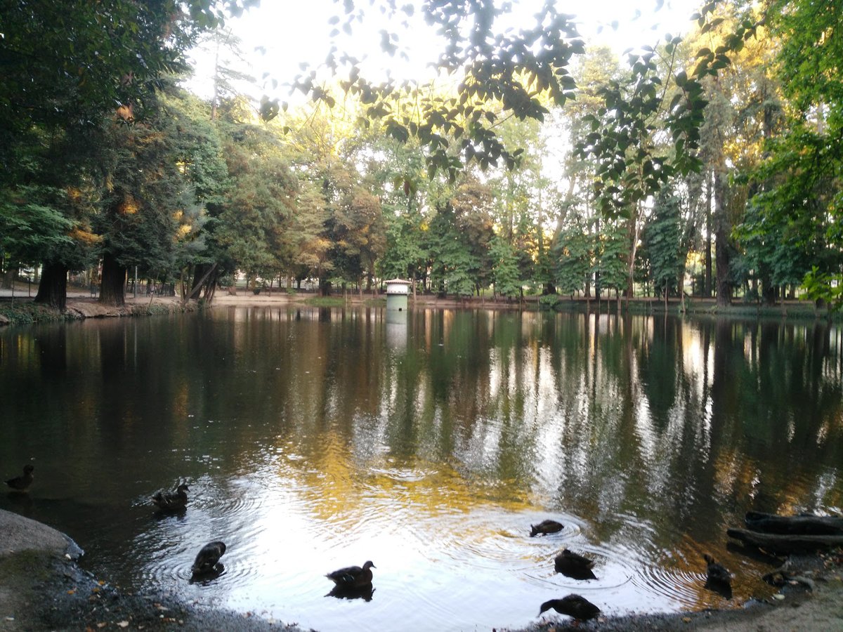 حديقة ينابيع فيزيلا الحارة