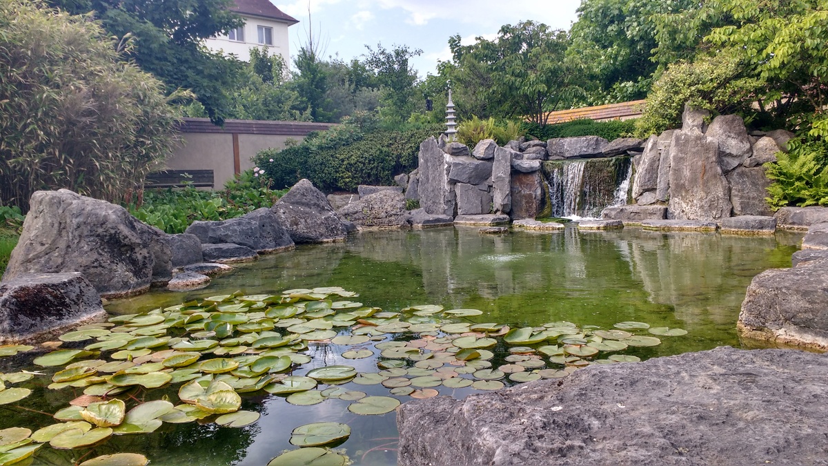 الحديقة اليابانية