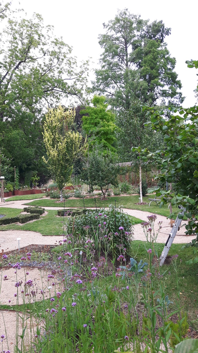 حديقة جان شالون