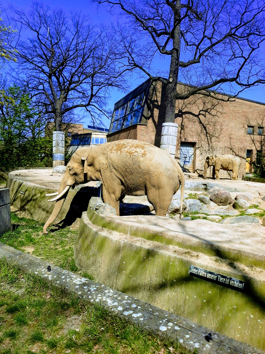 A picture of Berlin Zoological Garden