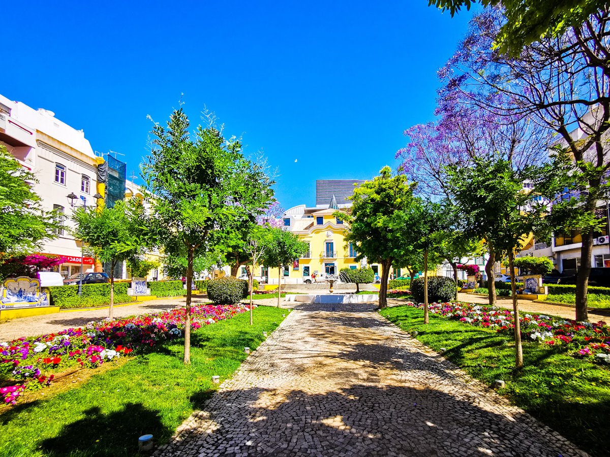 حديقة 1 ديسمبر