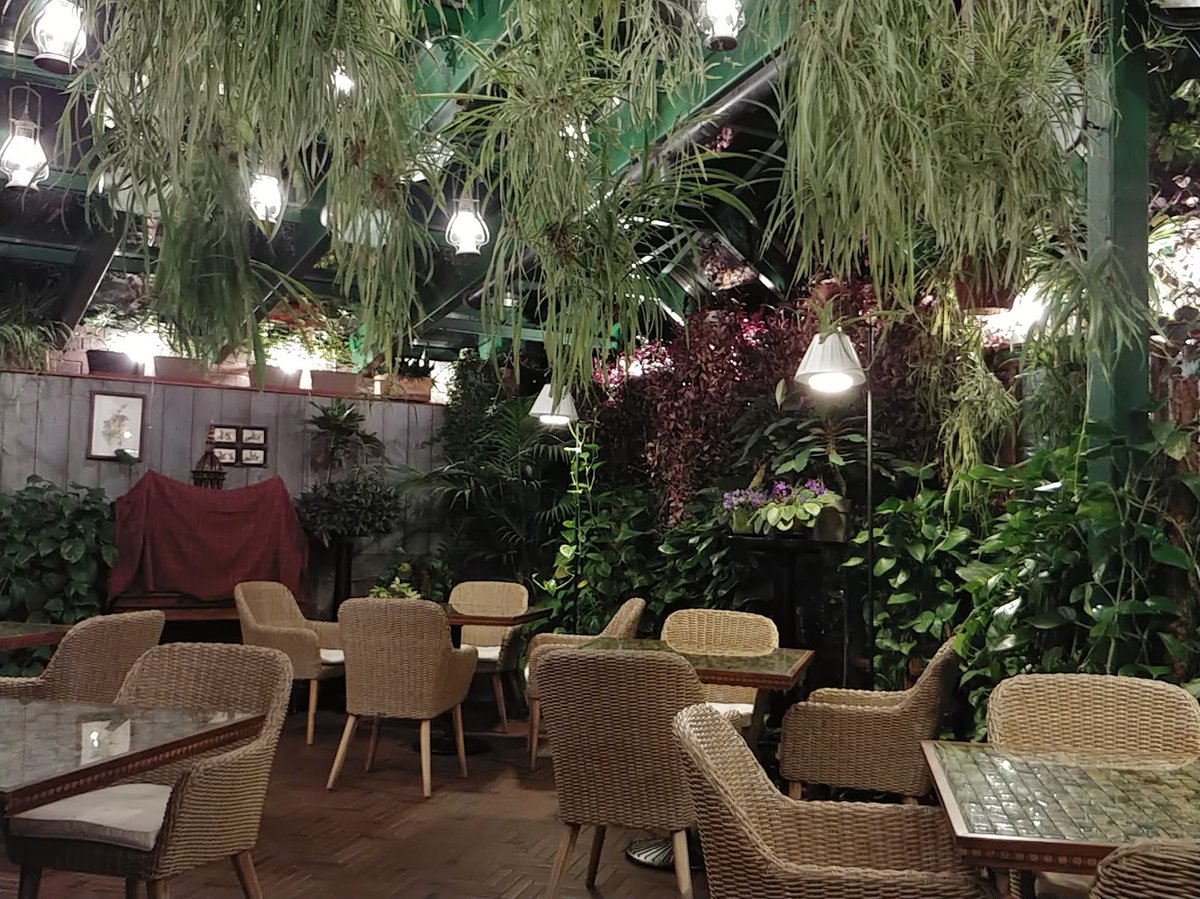 مطعم بلاك وود