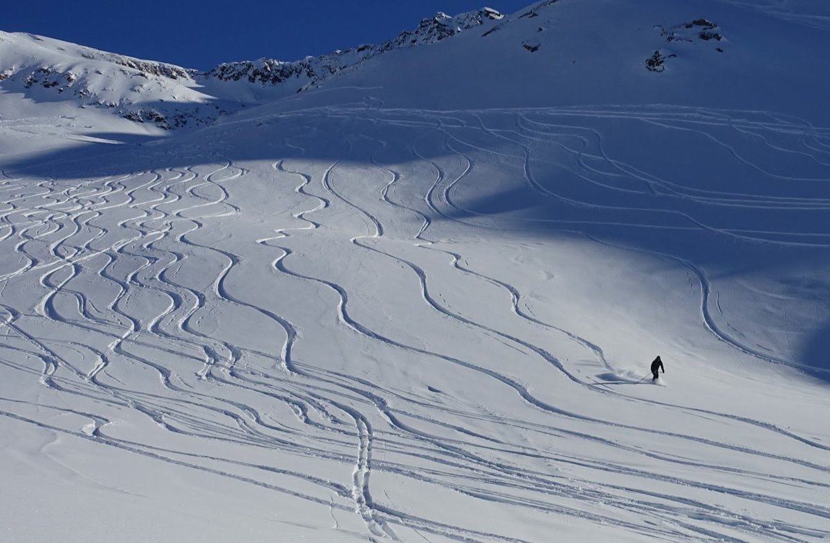 A picture of Gemsstock