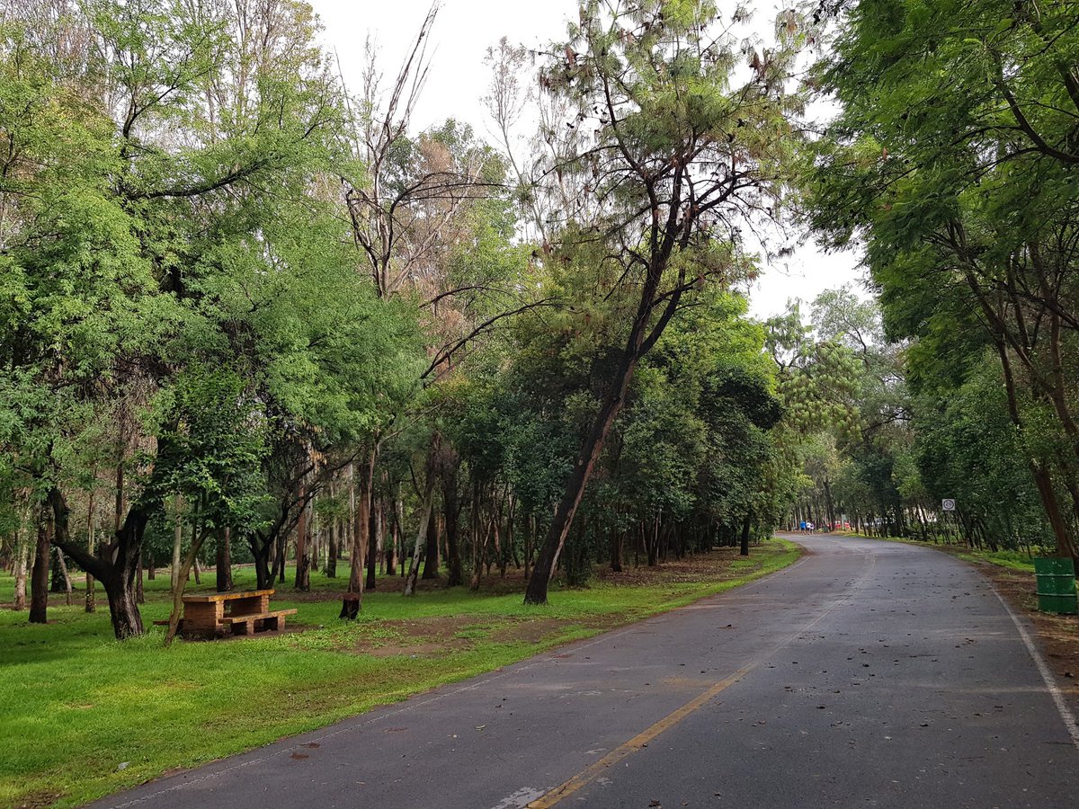A picture of Tangamanga Park I