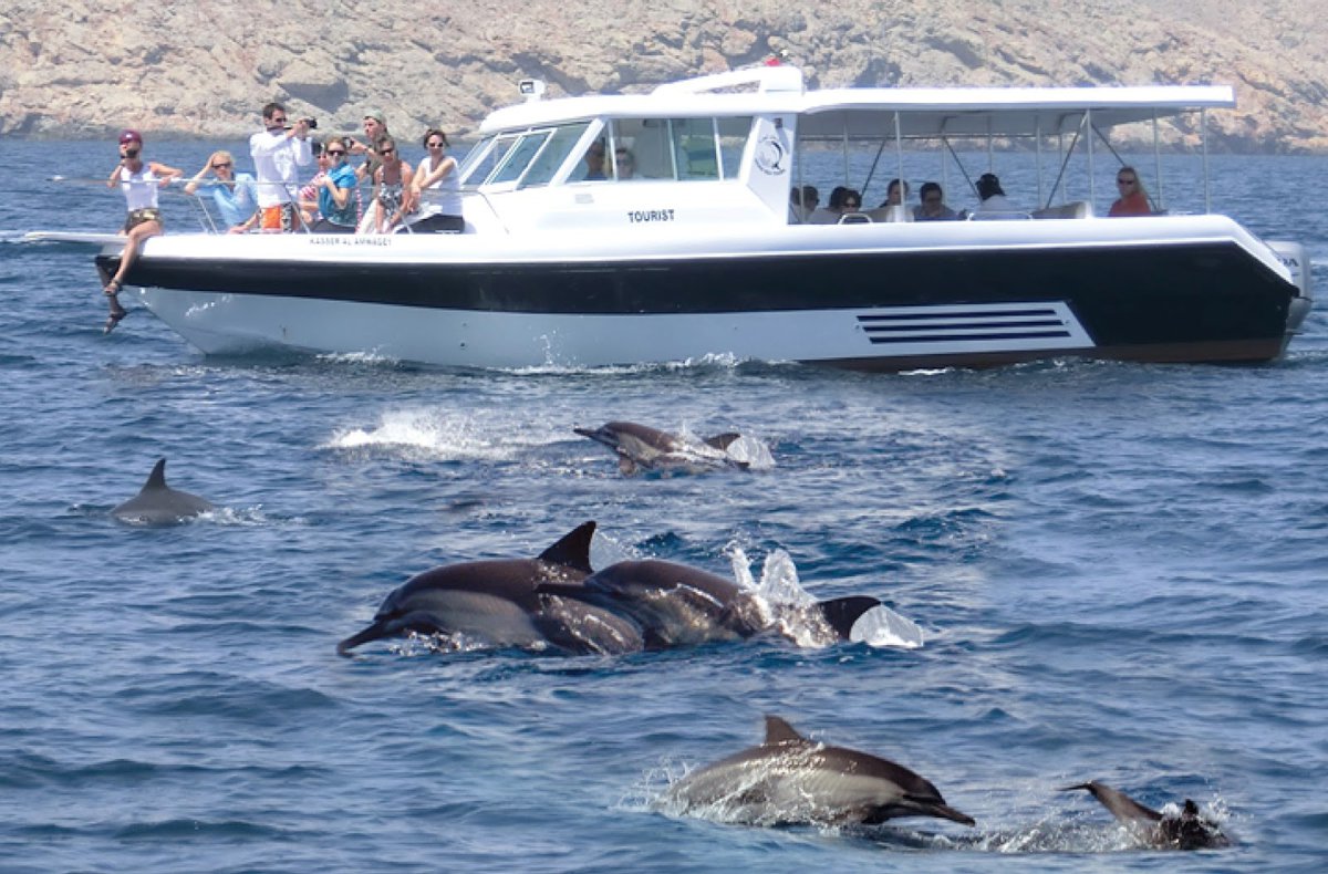 A picture of Oman - Muscat Dolphin Watching & Snorkeling