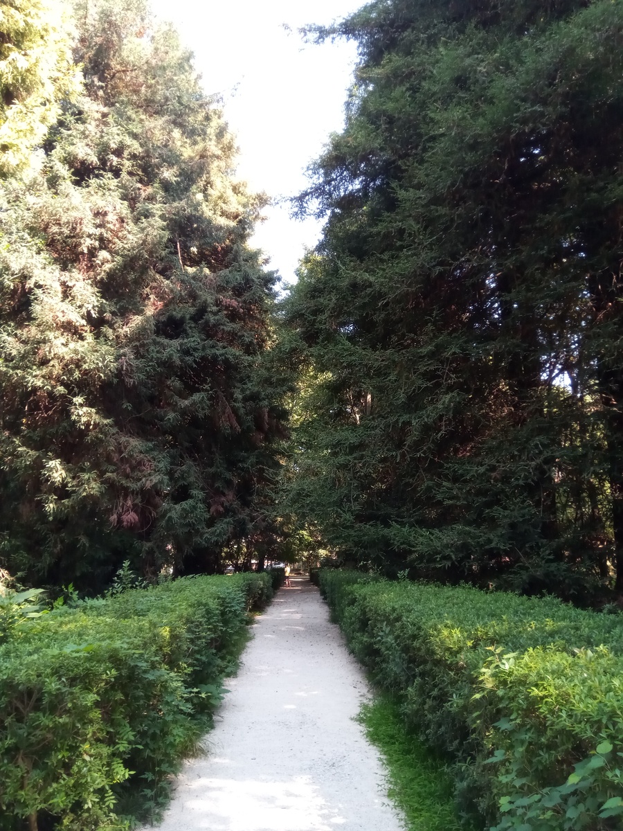 4 من أفضل حدائق و متنزهات في سوتشي ننصحك بزيارتها